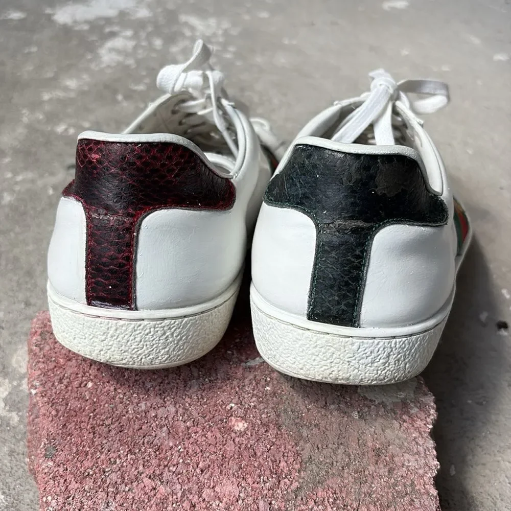 Gucci acel bee sneaker